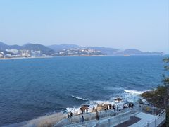 -大梅沙海滨公园