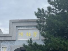 -磬锤峰森林公园