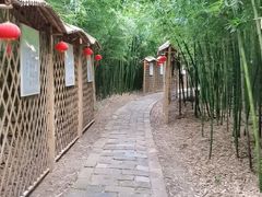 -同里国家湿地公园