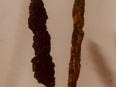 -黄寺卤煮·黄寺喝酒公司