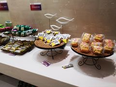 -郑州新郑国际机场T2航站楼-贵宾厅B区