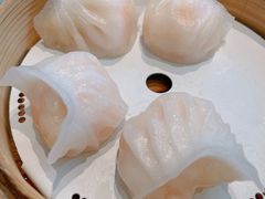 -金悦轩海鲜城(渔人码头店)