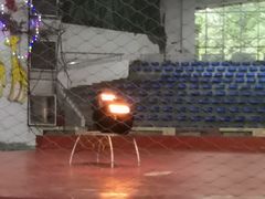 -哈尔滨北方森林动物园