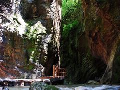 -牛背梁国家森林公园
