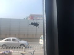 -大福来(西青道店)