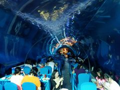 -海棠湾洲际-涛·海底餐厅·美人鱼·自助餐·海底隧道