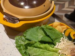 -润园四季椰子鸡火锅(海上世界店)