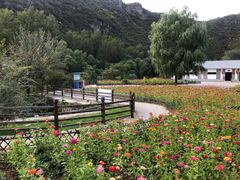 门面-百里山水画廊乌龙峡谷