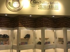 -龙猫仔乐园(惠福东路店)