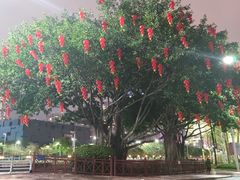 -广州塔