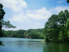 -紫霞湖公园