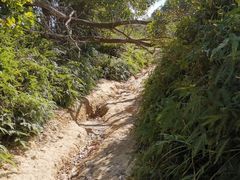 -西涌国际滨海旅游区