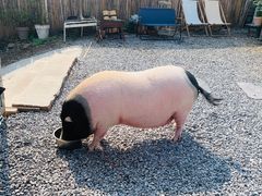 -小时光咖啡馆(开森度假森林店)