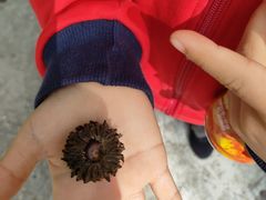 -南京金牛湖风景区