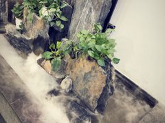 -徽张·新徽菜(五棵松·永定路店)