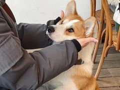 -肥朵食堂(带梦胡同店)