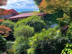 -中国茶叶博物馆(双峰馆区)