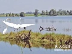 -白鹭湾湿地公园