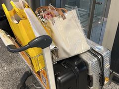 -上海浦东国际机场-T2航站楼