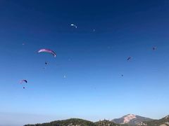 -费特希耶滑翔伞