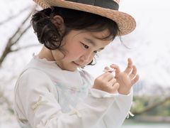 -羊山湖公园