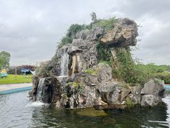 -上海都市菜园