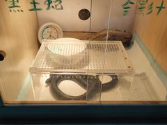 -嘉兴海底世界