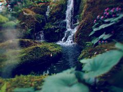 -Chom Cafe and Restaurant