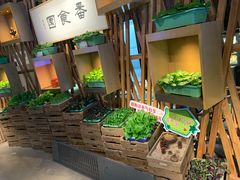 -番食园鲜食火锅(高新店)
