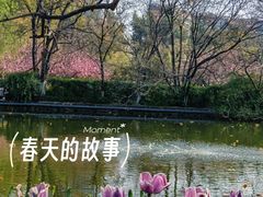 -翠湖公园