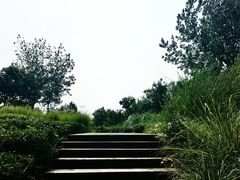 -长广溪湿地公园