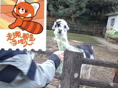 -昆明动物园