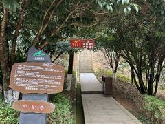 -桃花岭景区