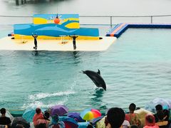 -秦皇岛乐岛海洋王国