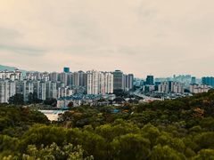 -金鸡山公园