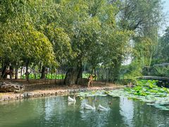 -观唐（国际）度假村温泉