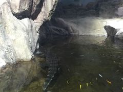 -临沂极地海洋王国