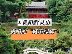 -黔灵山公园