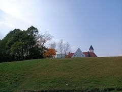 -大塘金香草谷