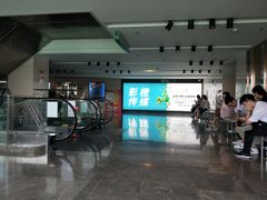 -天幕新彩云国际影城(激光巨幕店)