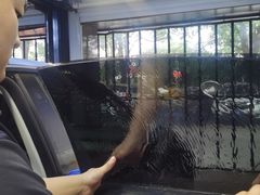 -天猫养车贴膜轻改·蓝电(优匹康桥东路店)