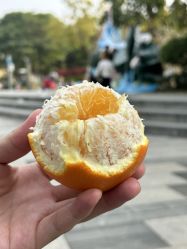 -番禺儿童公园