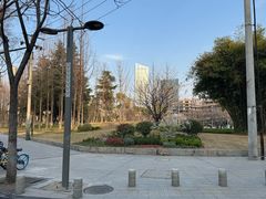 -后襄河公园