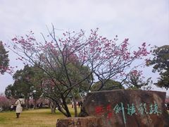 -无锡梅园公园