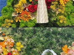 -云溪植物园