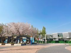 -金陵图书馆