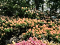 -轻捞慢起面馆(新世界百货店)