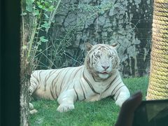 -北京野生动物园