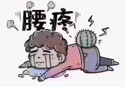 -Fundi张玉珊修身堂·indiba·BTL科技瘦身