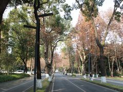 -四川大学(望江校区)